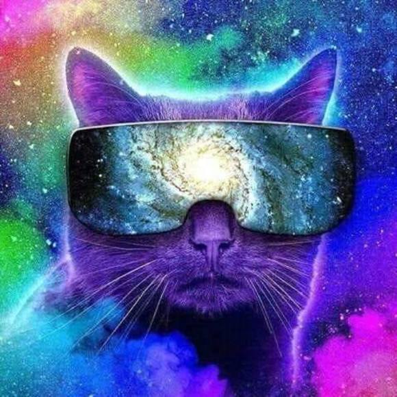 Meet your Posher, Linda - Picture 1 of 1